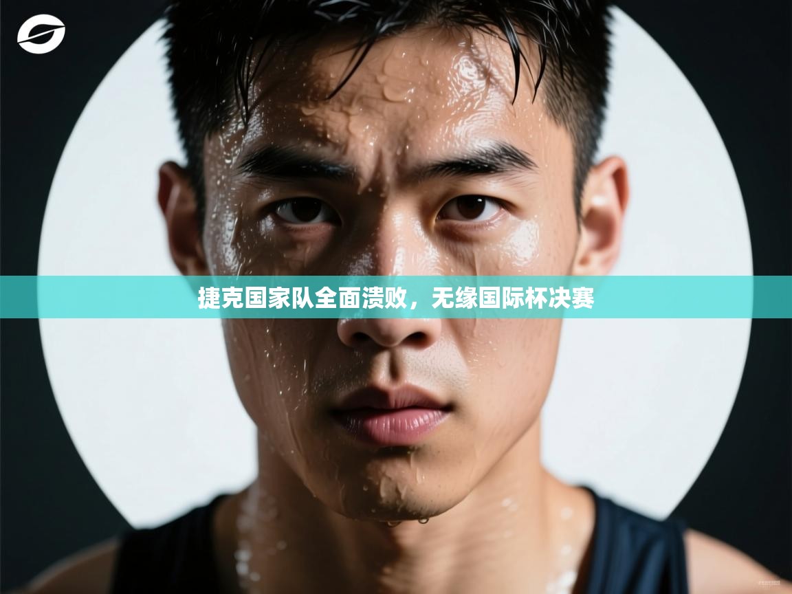 捷克国家队全面溃败,无缘国际杯决赛 第2张