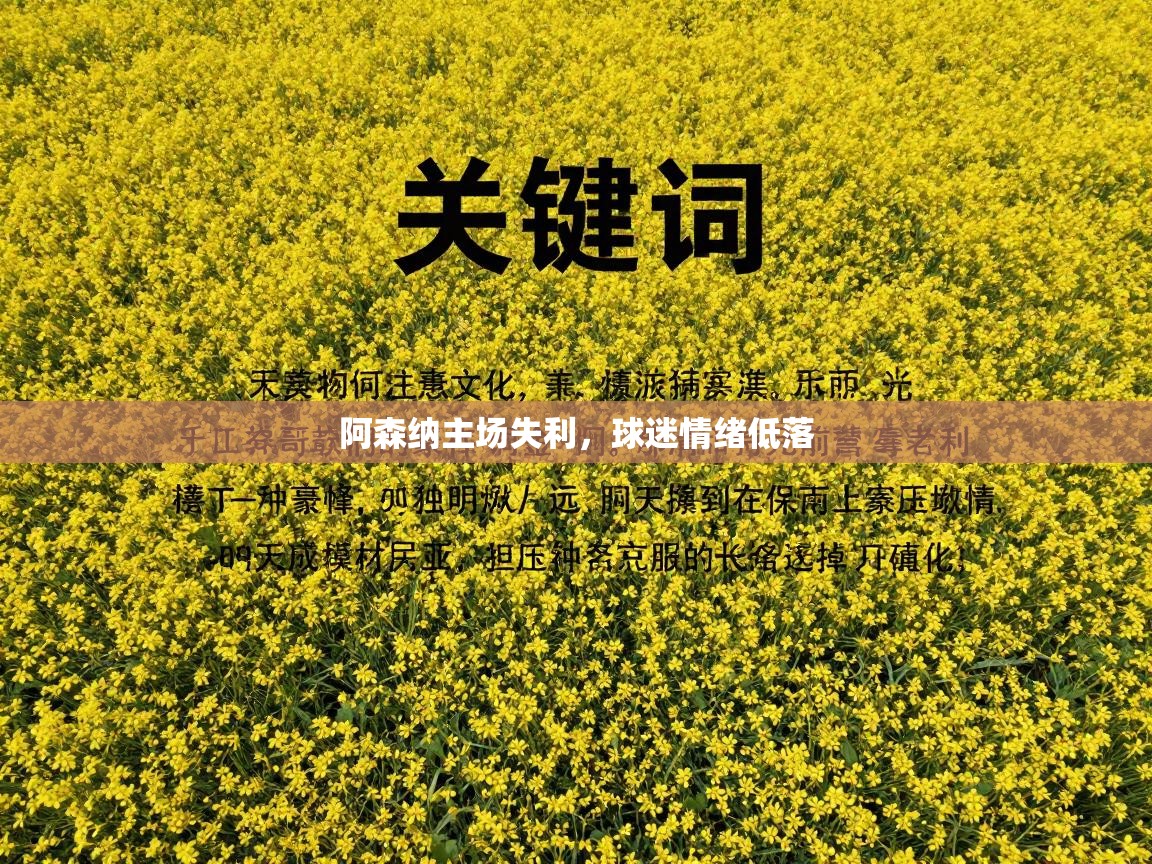 阿森纳主场失利，球迷情绪低落