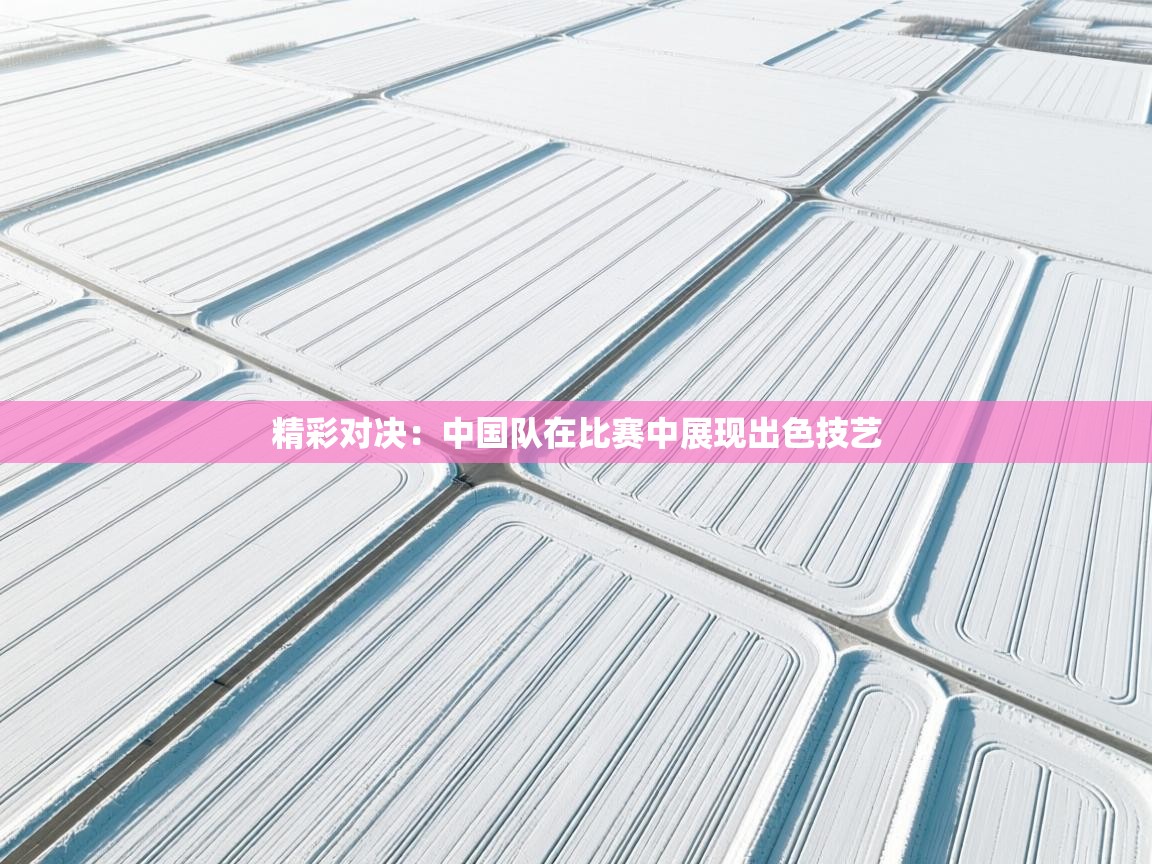 精彩对决：中国队在比赛中展现出色技艺